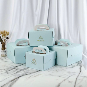 Macaron Boxes