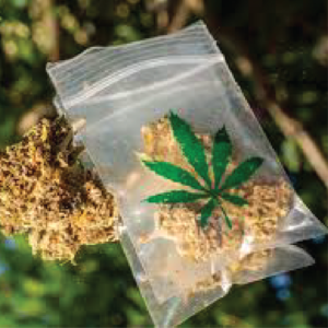 Vacuum Seal Weed Bags